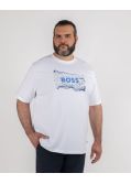 T-shirt grande taille blanc