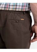 Short chino grande taille marron