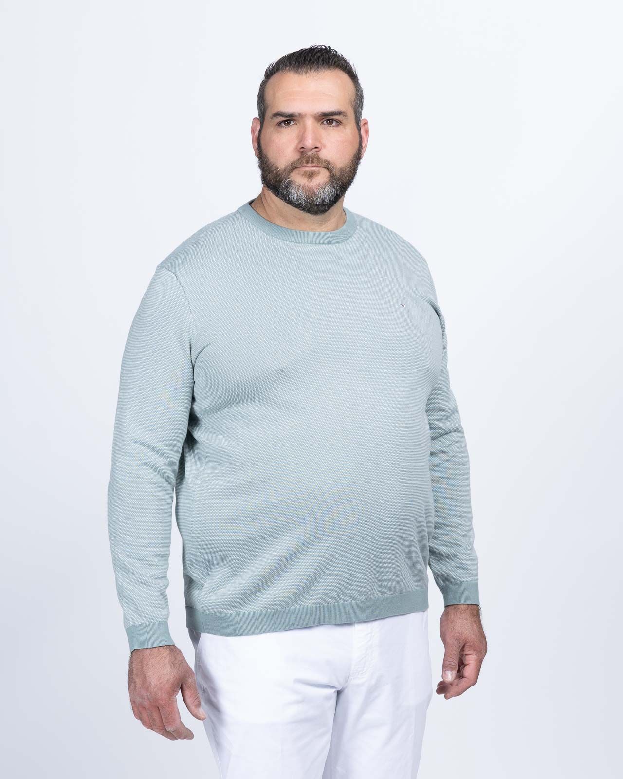 Pull oxford grande taille gris