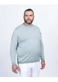 Pull oxford grande taille gris
