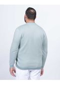 Pull oxford grande taille gris