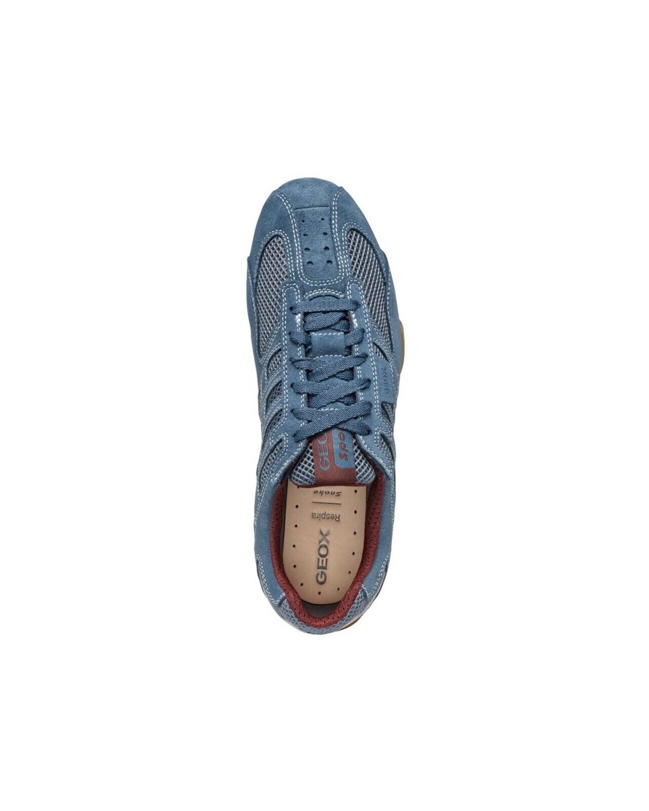 Chaussures Snake grande taille bleu