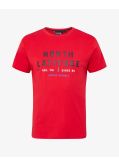 Tee shirt grande taille rouge