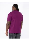 T-shirt grande taille bordeaux