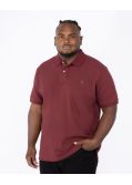 Polo piqué grande taille bordeaux