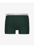 Pack de 3 boxers grande taille vert