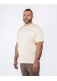 T-shirt Thompson grande taille beige