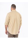 Chemise oxford grande taille beige