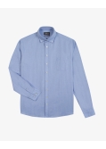 Chemise oxford grande taille bleu ciel