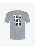 T-shirt Lomu grande taille gris