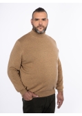 Pull col roulé en laine grande taille marron
