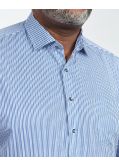 Chemise à rayures non iron grande taille bleu
