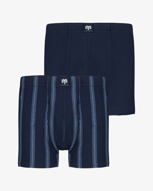 Pack de 2 boxers à rayures grande taille bleu marine
