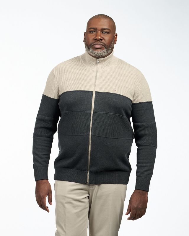 Gilet zippé bicolore grande taille anthracite