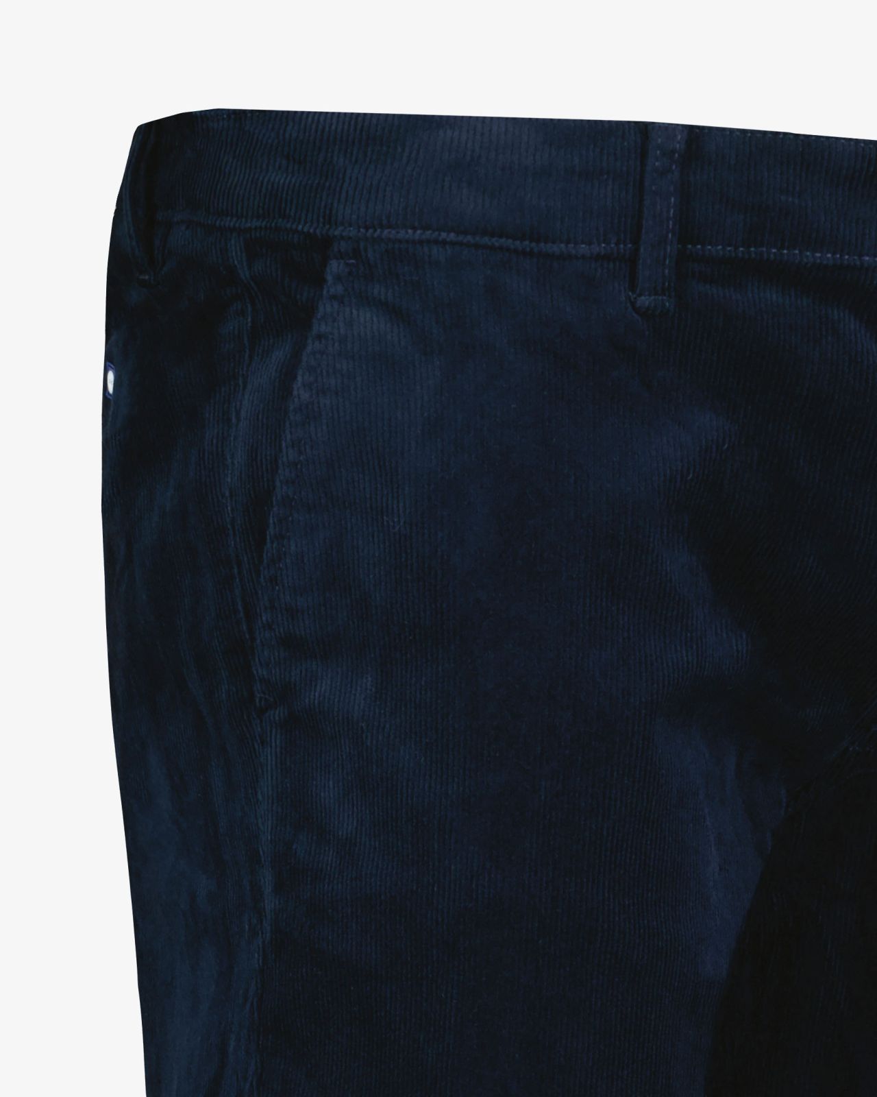 Pantalon chino en velours grande taille bleu marine