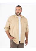 Chemise oxford pour homme grand beige