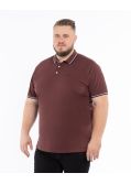 Polo piqué grande taille bordeaux