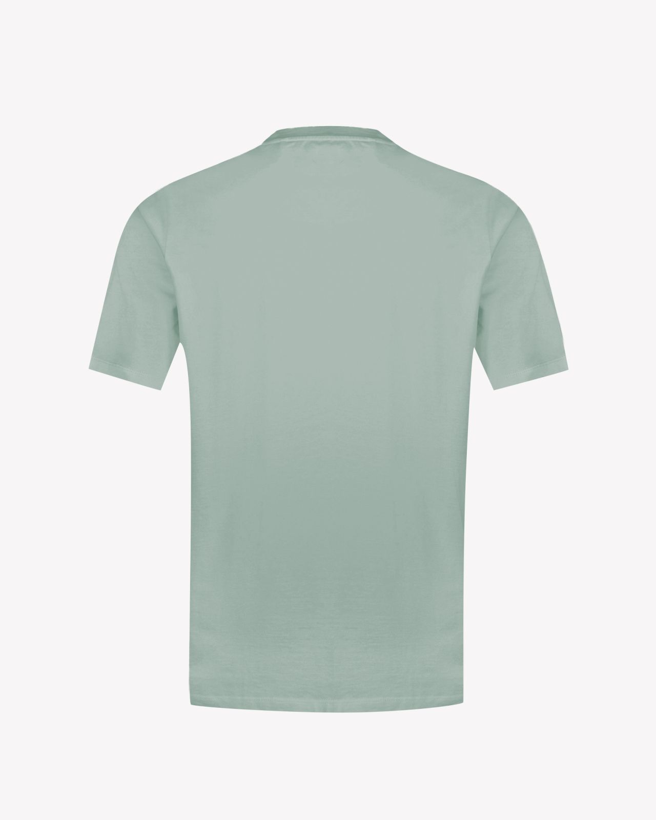 T-shirt épais grande taille vert sauge