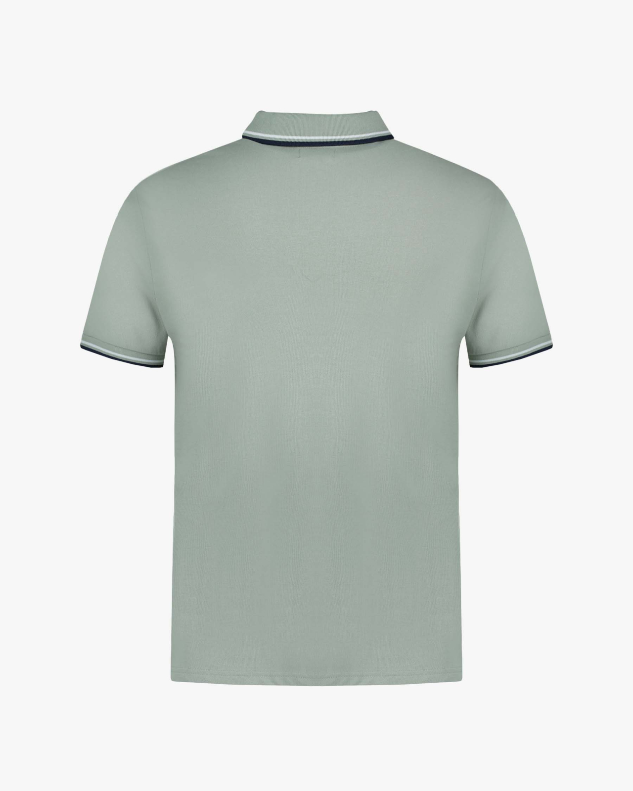 Polo piqué grande taille vert sauge