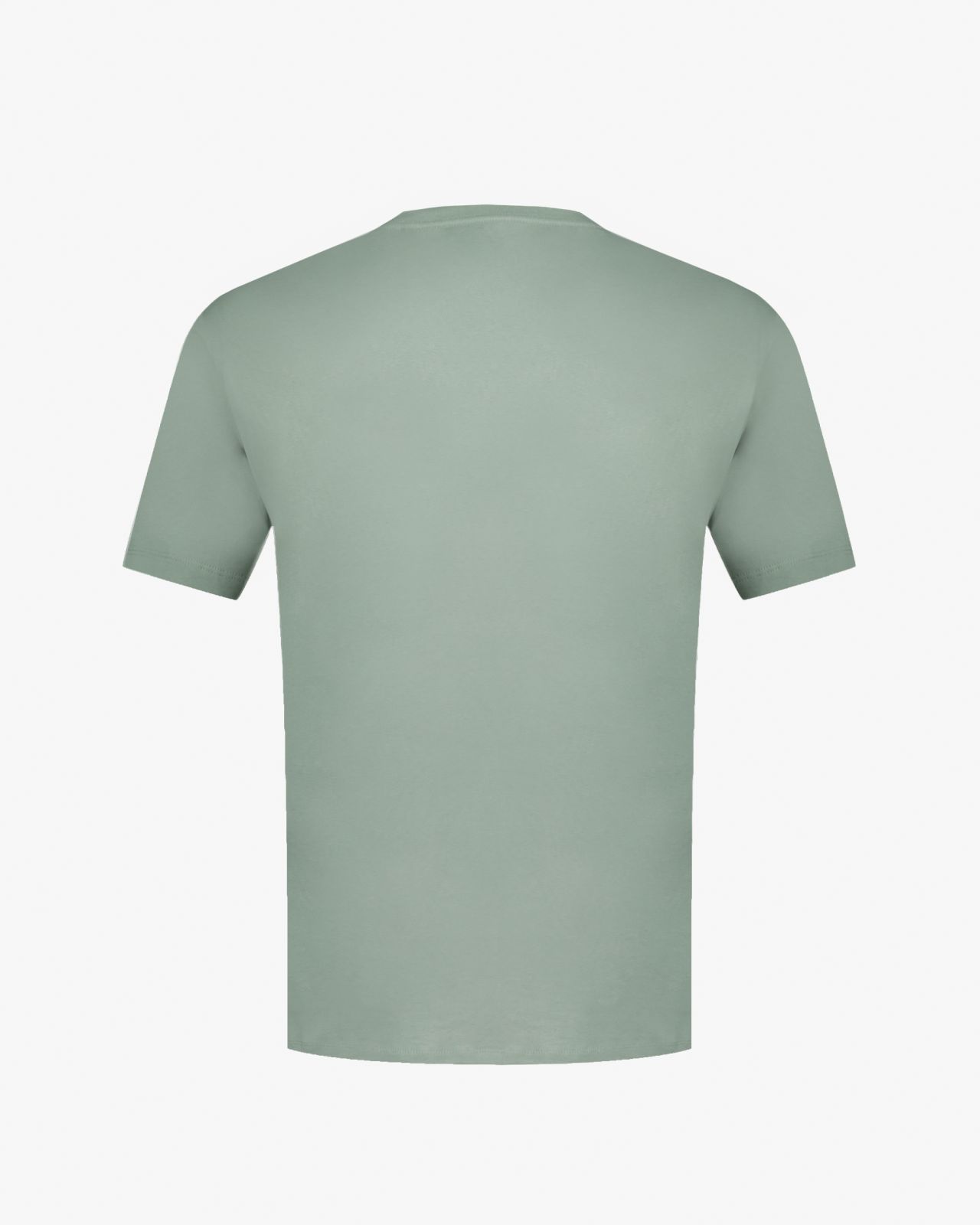 T-shirt uni grande taille vert sauge