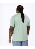 T-shirt col V uni grande taille vert sauge