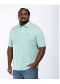 Polo grande taille vert tilleul