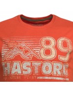 Tee shirt flammé Hastorg imprimé grande taille orange rouille