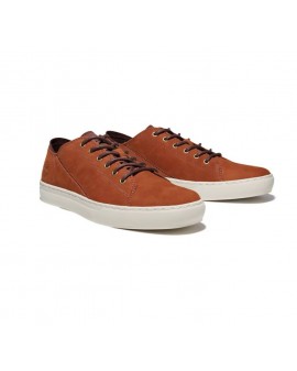 Sneakers Timberland en nubuck grande taille cognac