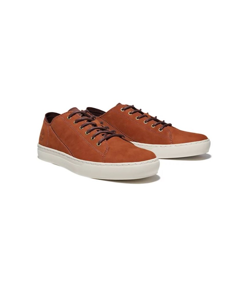 Sneakers Timberland en nubuck grande taille cognac