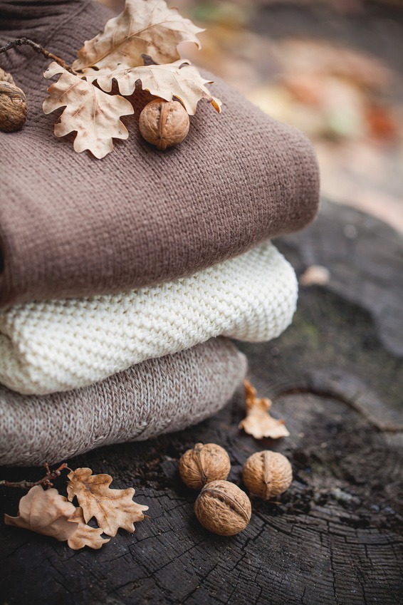 Visuel différents pulls