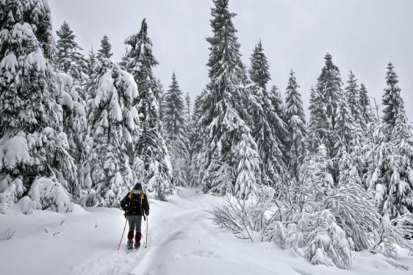 Comment bien s’habiller pour ne pas avoir froid au ski et à la montagne ?