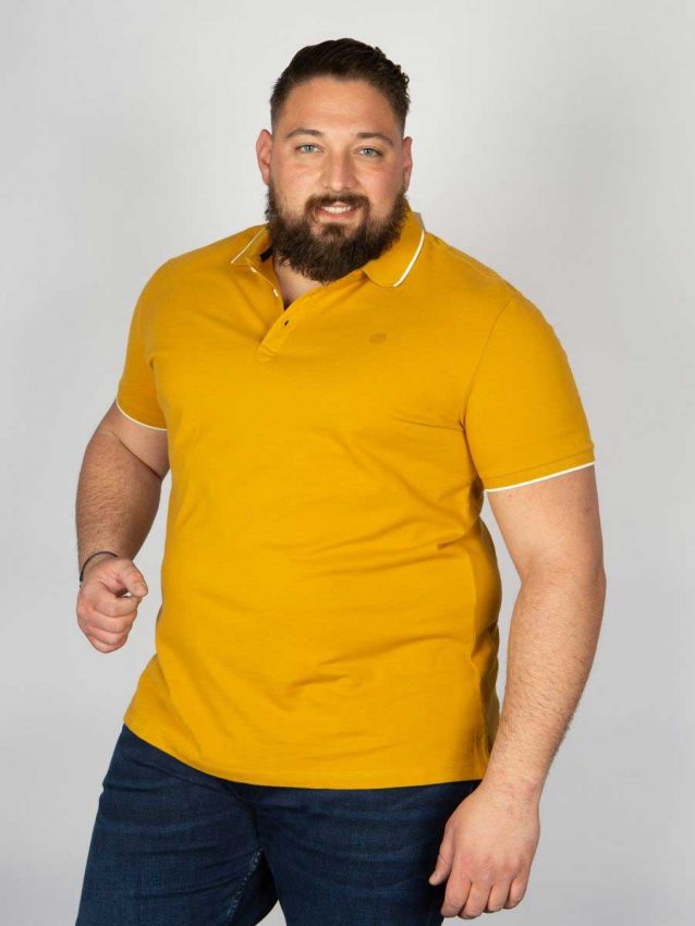 polo-piqué-grande-taille-4xl
