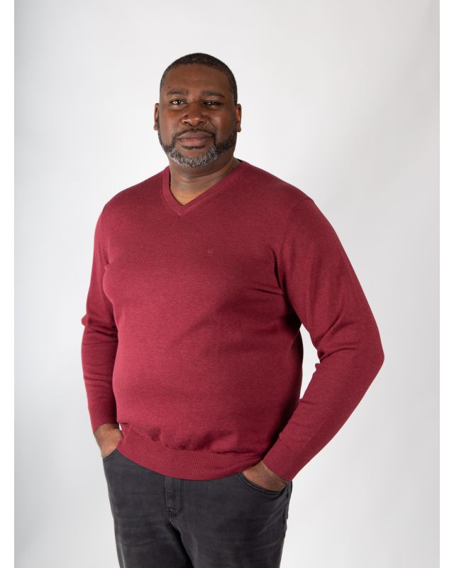 Look printemps homme pull col v