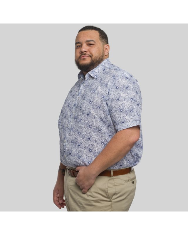 Chemisette imrpimée grande taille has